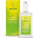 Weleda Citrus Deodorant Spray Déodorant Naturel 24h Sans Aluminium 100ml