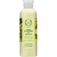 Fresh Line Grape & Nectarine Grape Champagne Feuchtigkeitsspendende Körperlotion für alle Hauttypen 200ml