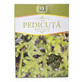 Th&#233; Pedicuta, 50 g, Stef Mar Valcea