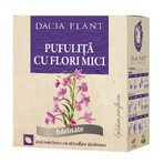 Thee met kleine bloemen, 50g, Dacia Plant Thee met kleine bloemen, 50g, Dacia Plant