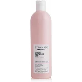 Byphasse Activ Liss Schützende Schutzcreme Glättende Haarlotion 250ml