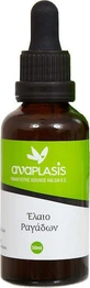 Anaplasis Huile Vergetures 50ml