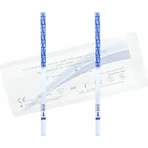 StartseiteTeststreifen 5pcs Schwangerschaftsteststreifen