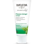 Weleda Dental Care Tandpasta op plantaardige basis tegen tandplak en gaatjes 75ml