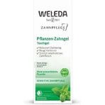 Weleda Dental Care Tandpasta op plantaardige basis tegen tandplak en gaatjes 75ml