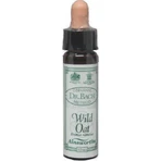 Ainsworths Gotas de Esencia Floral de Avena Silvestre 10ml