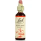 Bach Mimulus Flower Essence in Drops for Relaxation 20ml