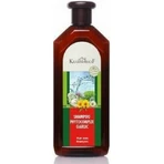 Krauterhof Phytocomplex Champú de Ajo Contra la Caída del Cabello Para Todo Tipo de Cabello 500ml