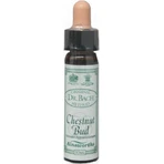 Ainsworths Chestnut Bud Bloemen Essentie Druppels 10ml