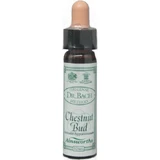 Ainsworths Kastanien Knospe Blume Essenz Tropfen 10ml
