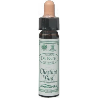 Ainsworths Chestnut Bud Bloemen Essentie Druppels 10ml