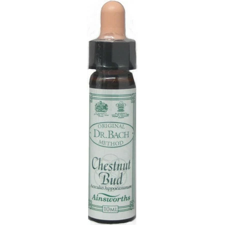 Ainsworths Chestnut Bud Bloemen Essentie Druppels 10ml