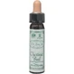 Ainsworths Chestnut Bud Bloemen Essentie Druppels 10ml
