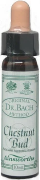 Ainsworths Chestnut Bud Flower Essence Drops 10ml