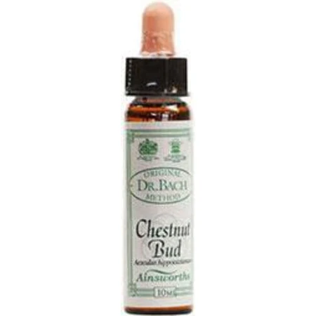 Ainsworths Chestnut Bud Bloemen Essentie Druppels 10ml