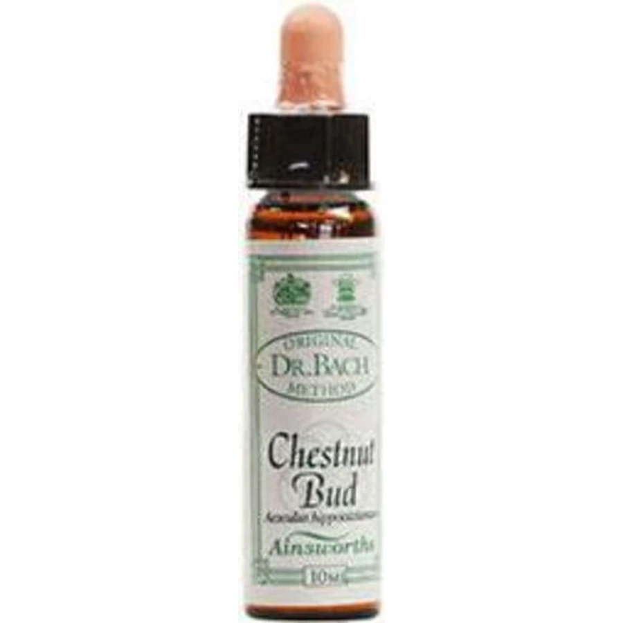 Ainsworths Chestnut Bud Bloemen Essentie Druppels 10ml