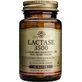 Solgar Lactase 3500 30 comprimés à croquer