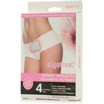 Algotech Algotreat Thermal Pain Patch 4pcs