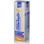 InterMed Chlorhexyl-F Bain de bouche Protection quotidienne