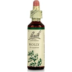 Bach Hulst Bloesem Essentie Druppels 20ml