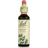 Bach Hulst Bloesem Essentie Druppels 20ml