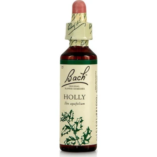 Bach Hulst Bloesem Essentie Druppels 20ml