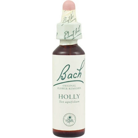 Bach Hulst Bloesem Essentie Druppels 20ml