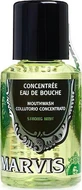 Marvis Concentrated Mouthwash Strong Mint Mouthwash Daily Protection Mouthwash
