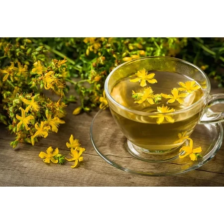 Té de Hierba de San Juan, 20 bolsitas, Fares