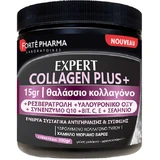 Forte Pharma Expert Collagen Plus+ mit Hyaluronsäure & Vitamin C 300gr Pfirsich