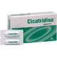 Cicatridine suppositoires avec acide hyaluronique pour le rectum, 10 ovules X 2g
