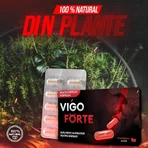 Pillen für Potenz und Erektion, VigoForte, 100% natürlich, 10 Kapseln, Colt de Sanatate