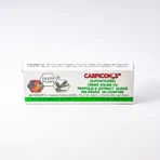 Carpicon S supositorios 1 g x 10, Elzin Plant