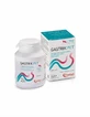 Gastrik Pet Supplement for dogs and cats that protects the gastric mucosa 30 tablets