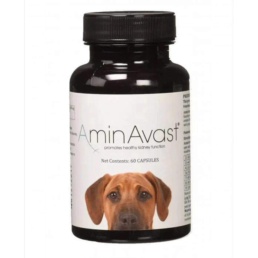 AminAvast DOG 1000 mg x 60cp