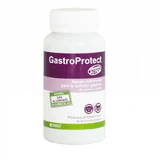 Nutritional supplement for the protection and repair of the gastric mucosa in dogs and cats, GASTROPROTECT Stangest, 30 tablets
