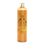 Shampoo Iv San Bernard Green Caviar, für Hunde und Katzen, 300ml