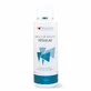 Shampoo for dogs and cats, Maxani Dirt Off skin & coat shampoo 200 ml