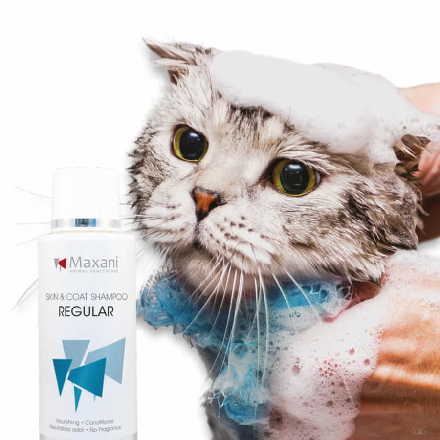 Shampoo for dogs and cats, Maxani Dirt Off skin & coat shampoo 200 ml