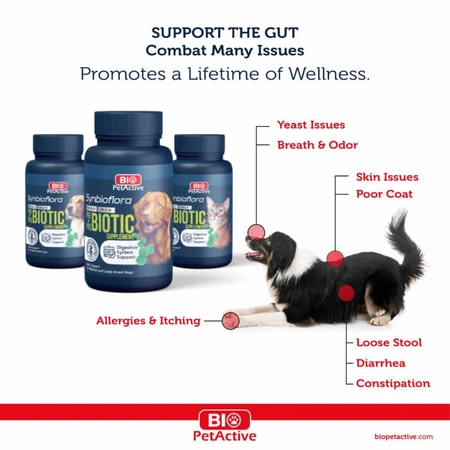 Bio PetActive Synbioflora für mittlere und große Hunde 60 Tabletten