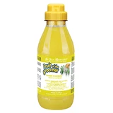 Iv San Bernard Shampoo mit Ingwer und Holunder, für Hunde und Katzen, 500ml