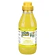 Iv San Bernard Shampoo with Ginger and Elder, for dogs and cats, 500ml