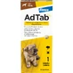 AdTab 56 mg chewable tablets for dogs against fleas and ticks (1,3-2,5 kg) - 1 tablet