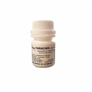 Paracan, 20 tabletten