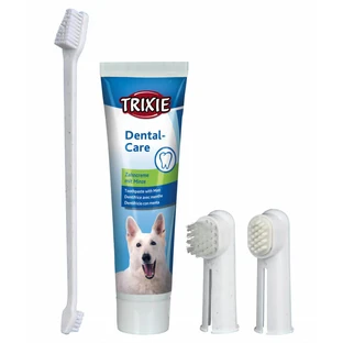 Toothbrush and Toothpaste Set - 100 g