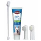 Toothbrush and Toothpaste Set - 100 g
