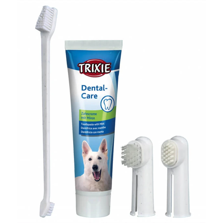 Toothbrush and Toothpaste Set - 100 g