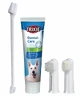 Toothbrush and Toothpaste Set - 100 g