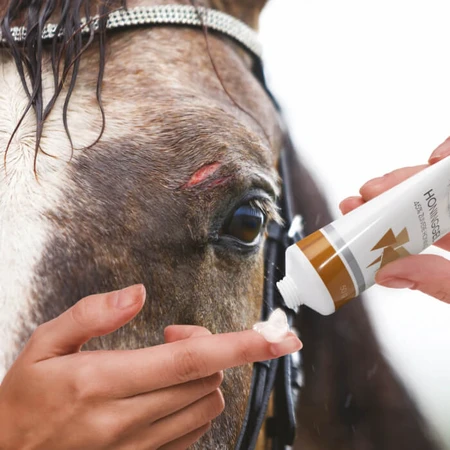 Maxani Honey-O3 gel, for healing damaged skin in animals, 50 g