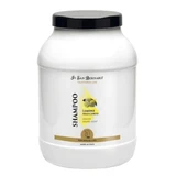 Shampoo kurzes Haar Iv San Bernard Lemon, für Hunde und Katzen, 3000ml